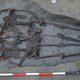 The “Lovers of Modena,” found buried hand-in-hand.